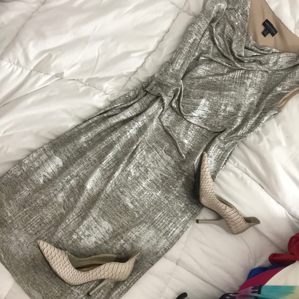 Silver/ Beige Dress NWOT